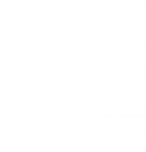 AliziaWebsiteSignature